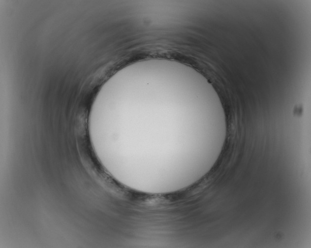 X0000111620468200907171109