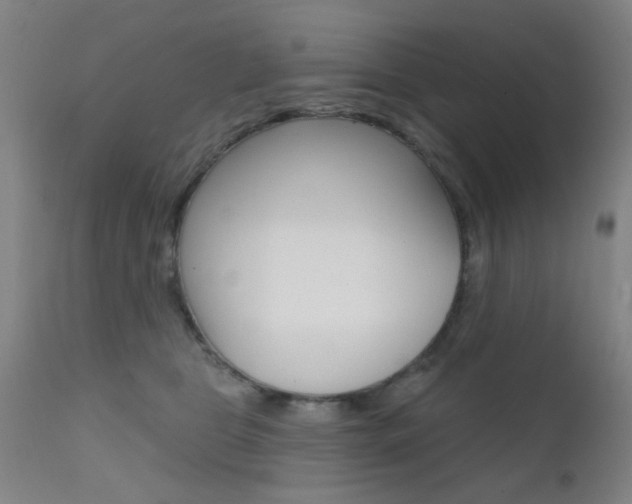 X0000111620469200907171109