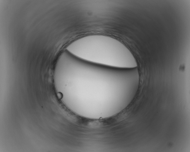 X0000111620470200907171109