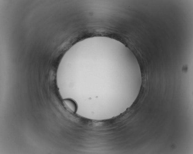 X0000111620472200907171109