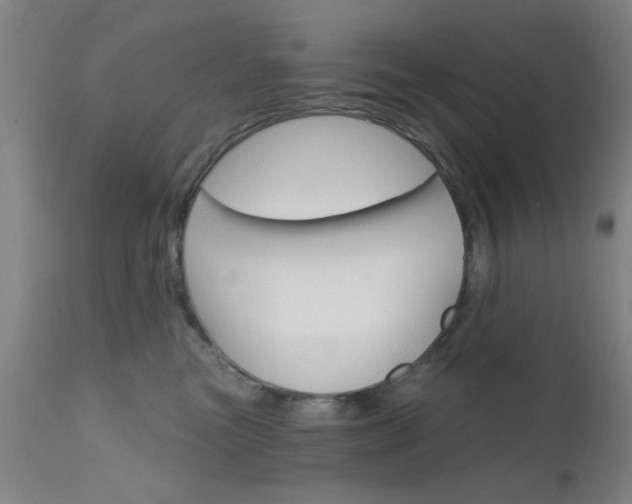 X0000111620473200907171109