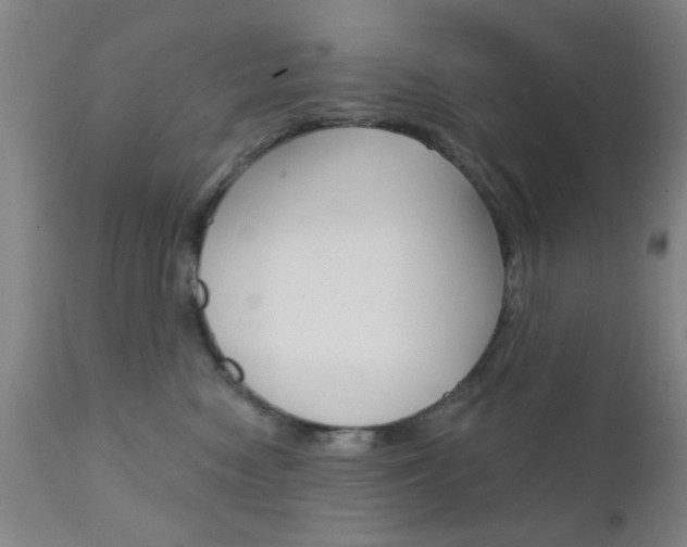 X0000111620474200907171109