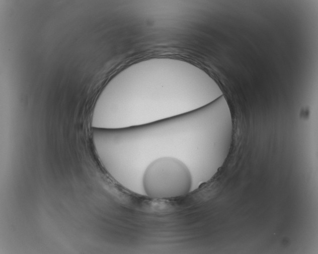 X0000111620475200907171109