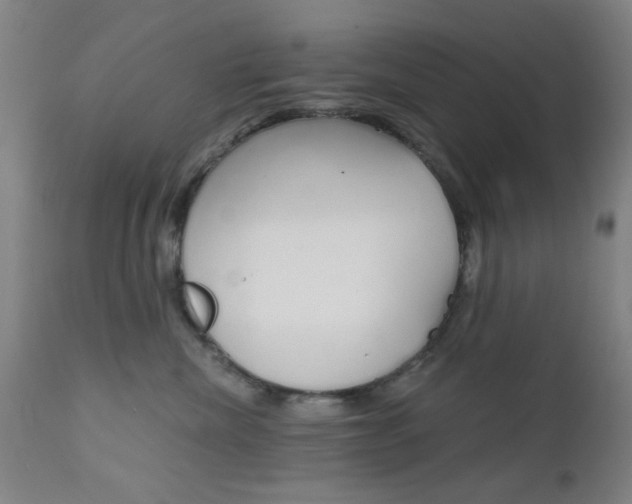 X0000111620476200907171109