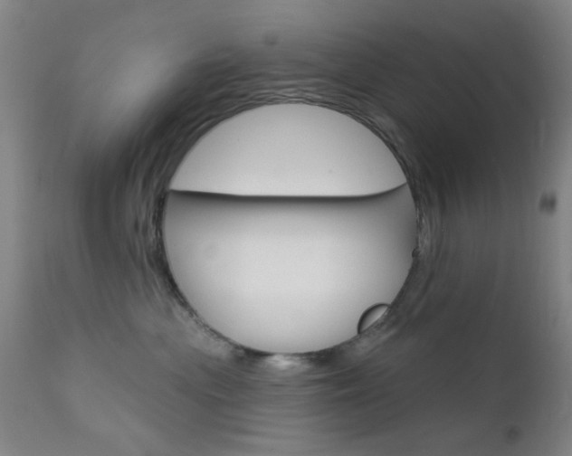 X0000111620477200907171109