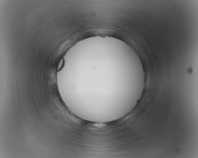 X0000111620478200907171109