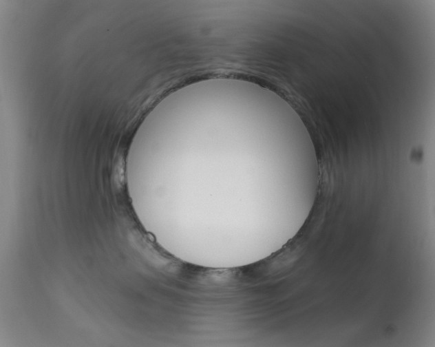 X0000111620479200907171109