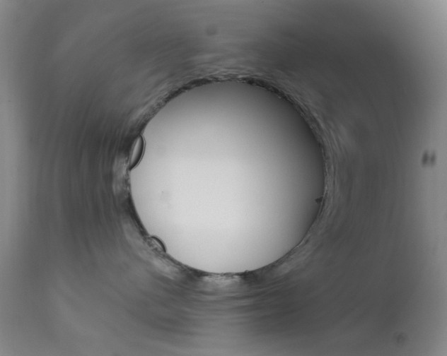 X0000111620480200907171109
