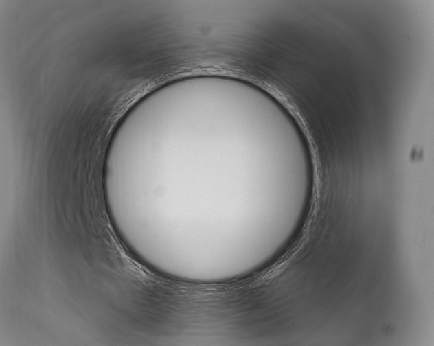 X0000111620481200907171108