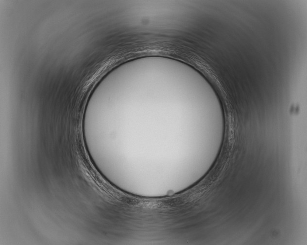 X0000111620482200907171108