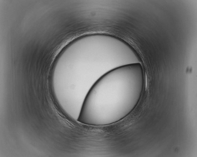 X0000111620483200907171108
