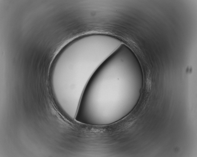 X0000111620484200907171108