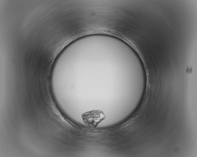 X0000111620485200907171108