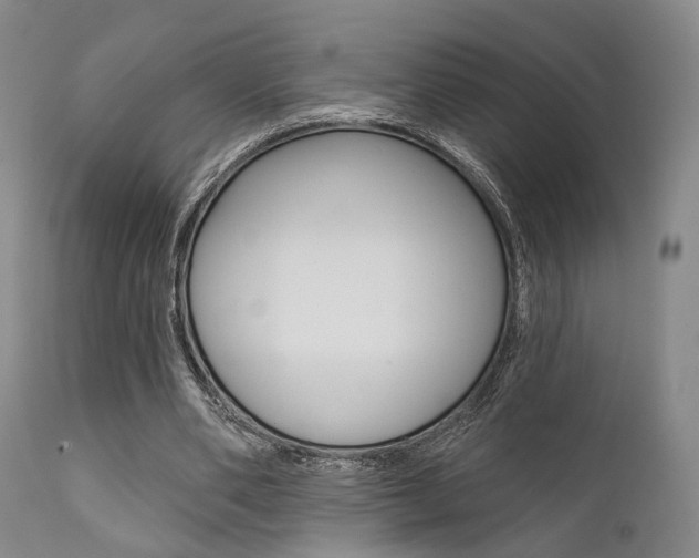 X0000111620486200907171108