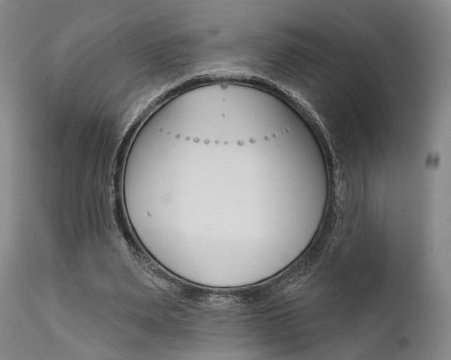 X0000111620487200907171108
