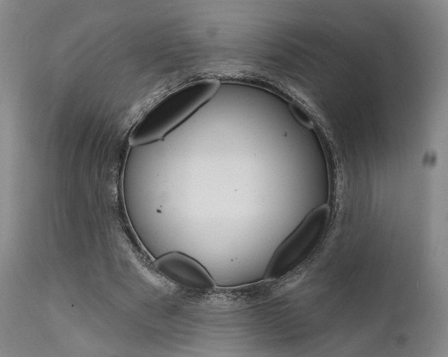 X0000111620489200907171108