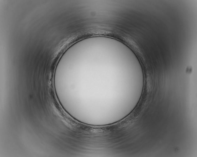 X0000111620490200907171108