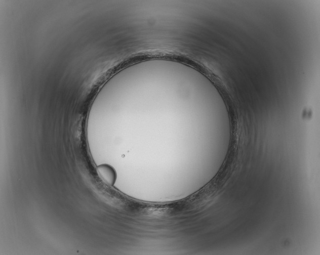 X0000111620495200907171108