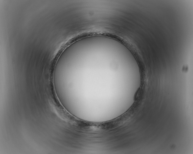 X0000111620496200907171108