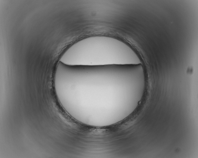 X0000111620497200907171108