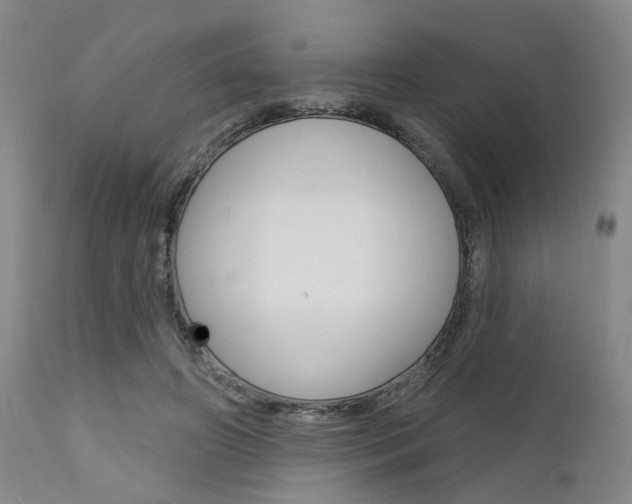 X0000111620498200907171108