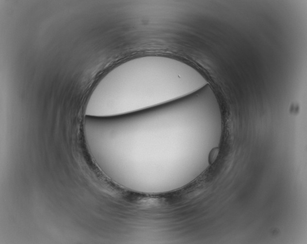 X0000111620499200907171108