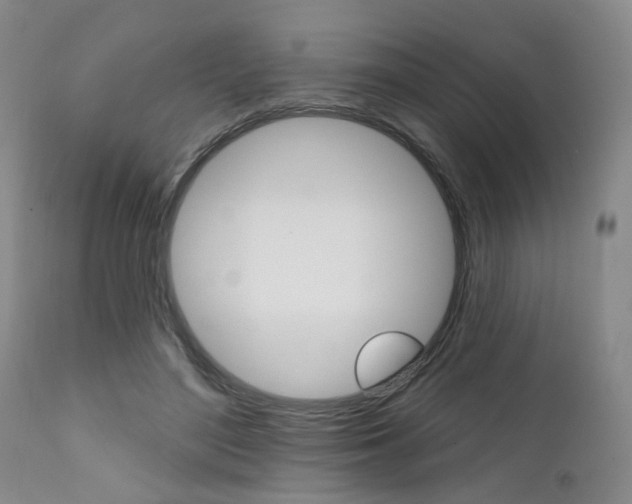 X0000111620500200907171108