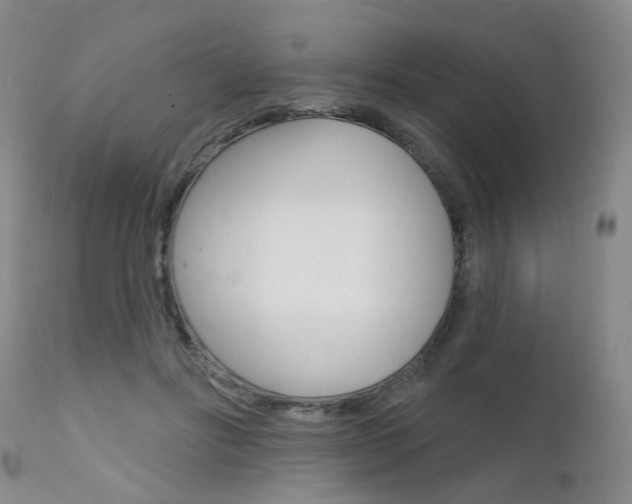 X0000111620502200907171108