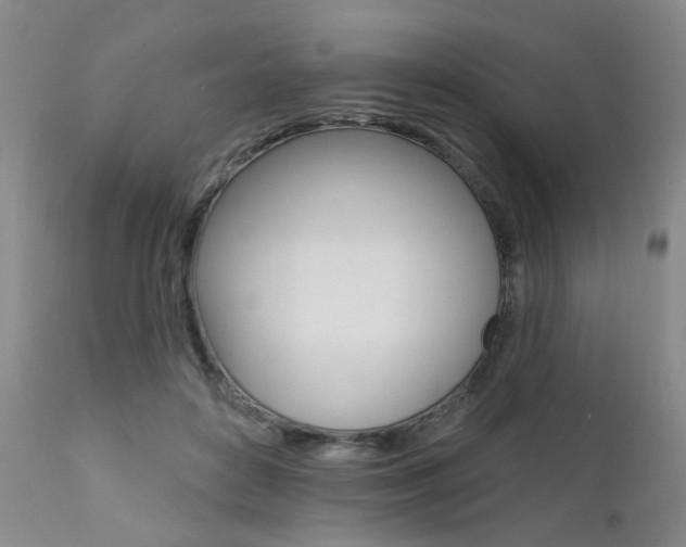 X0000111620504200907171108
