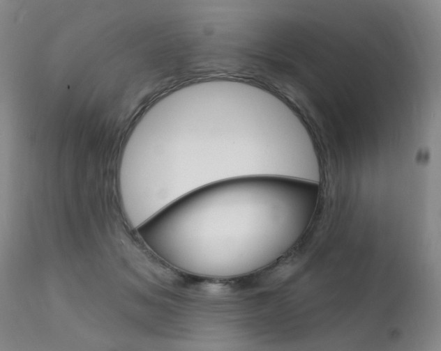 X0000111620509200907171108