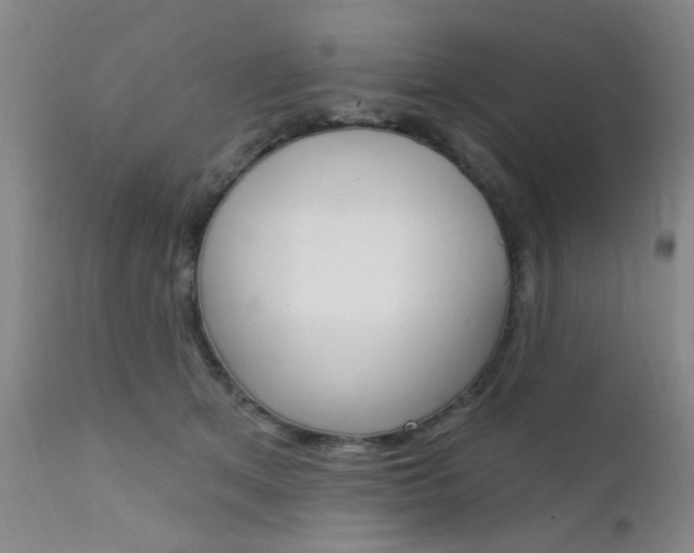 X0000111620513200907171108