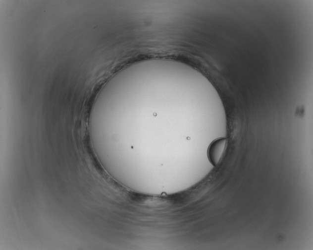 X0000111620515200907171108