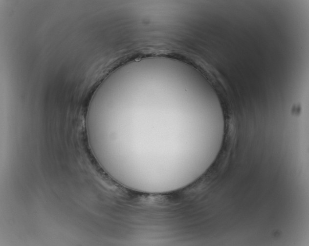 X0000111620517200907171108