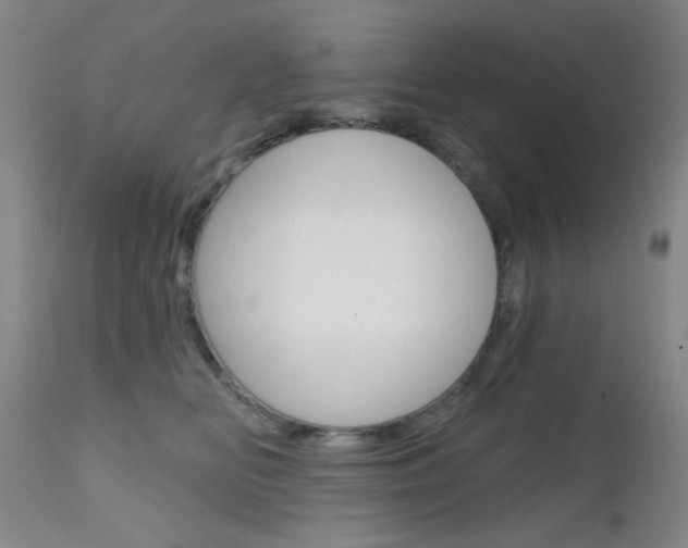 X0000111620518200907171108