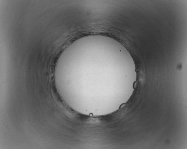 X0000111620519200907171108