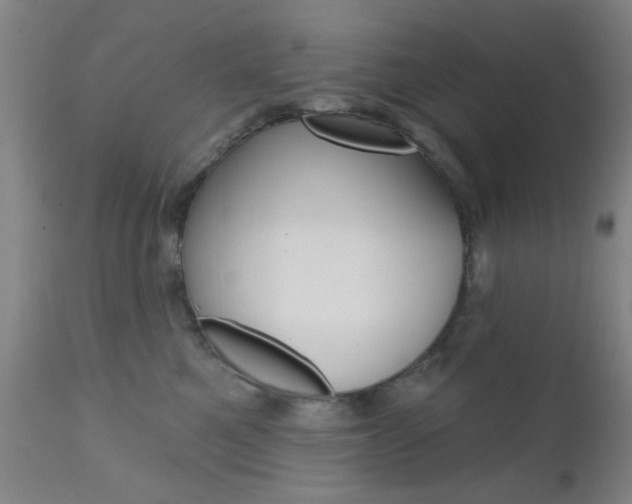 X0000111620521200907171108