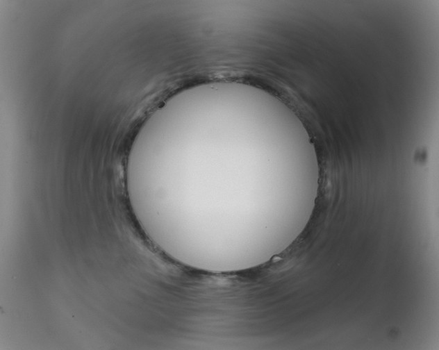 X0000111620523200907171108