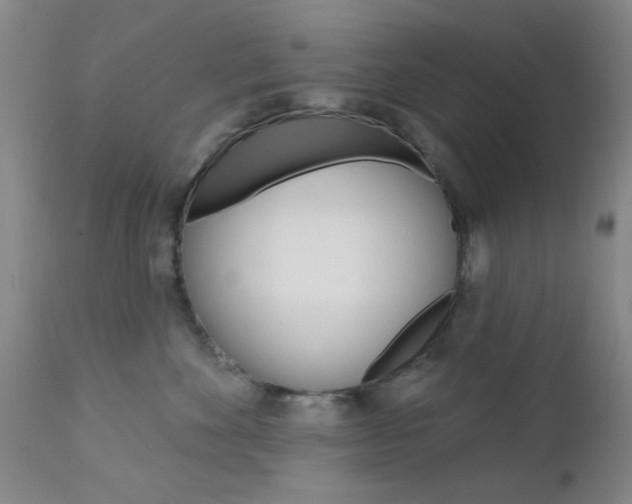 X0000111620524200907171108