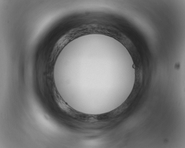 X0000111620526200907171108