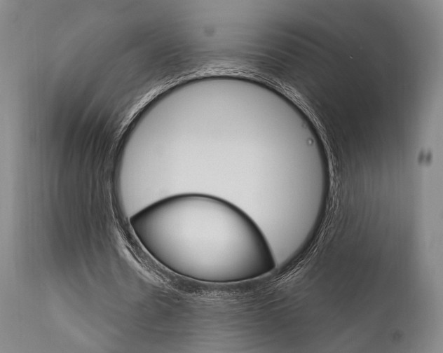 X0000111620530200907171107