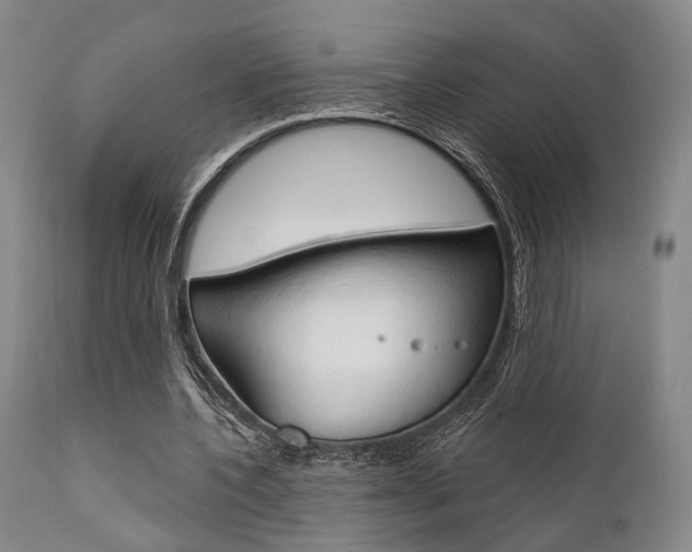 X0000111620532200907171107