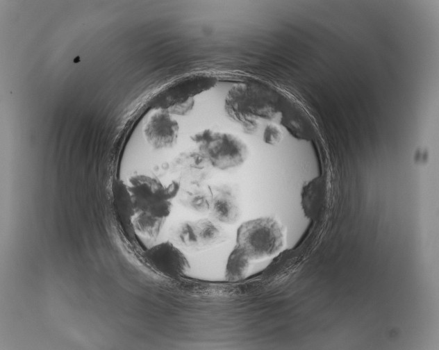 X0000111620533200907171107