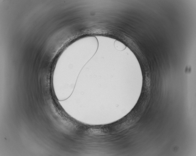 X0000111620534200907171107