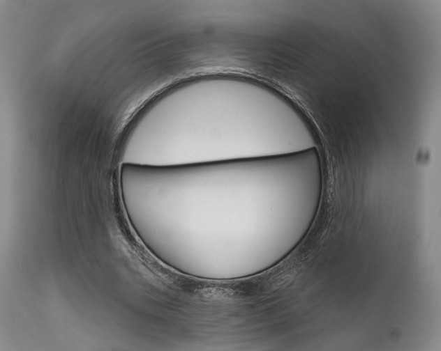X0000111620535200907171107