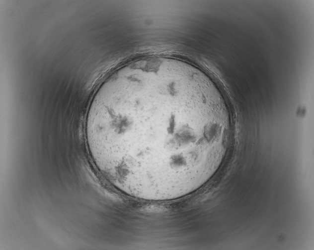 X0000111620537200907171107