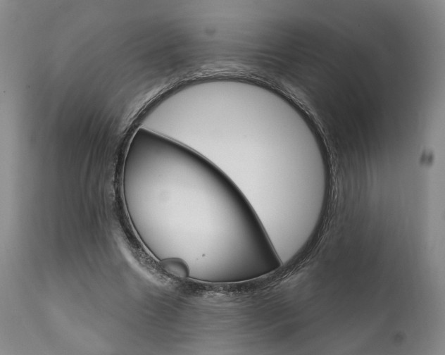 X0000111620538200907171107