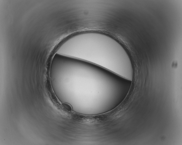X0000111620540200907171107