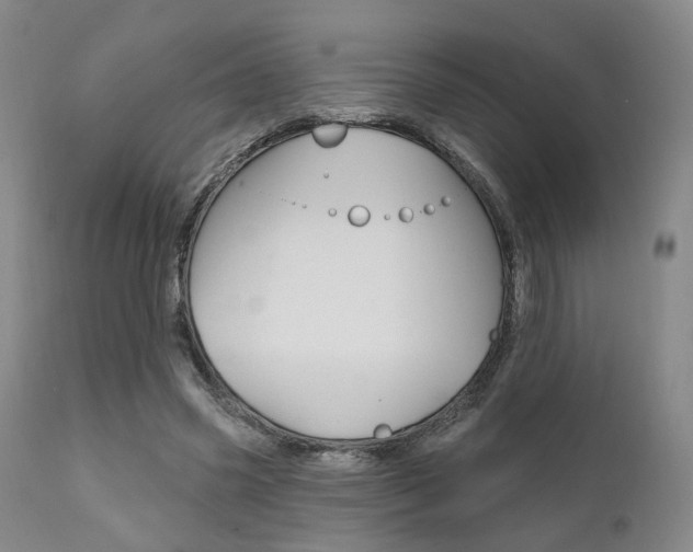 X0000111620541200907171107