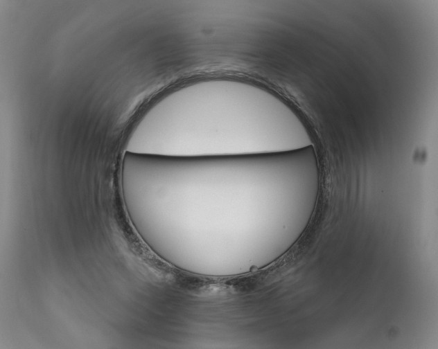X0000111620543200907171107