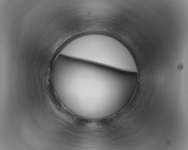 X0000111620544200907171107